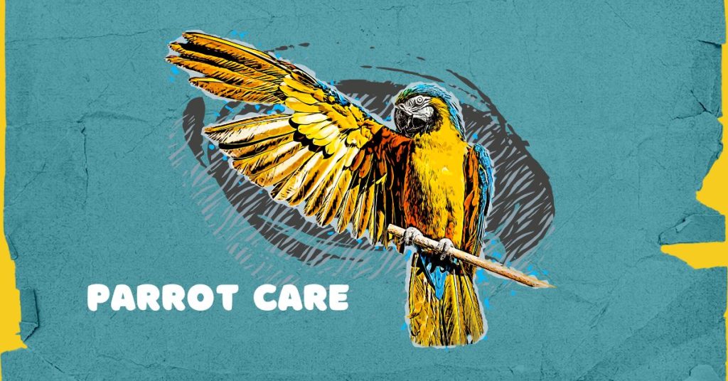 Parrot Care: A Guide To Keeping Parrots As Pets | Parrot Advisory